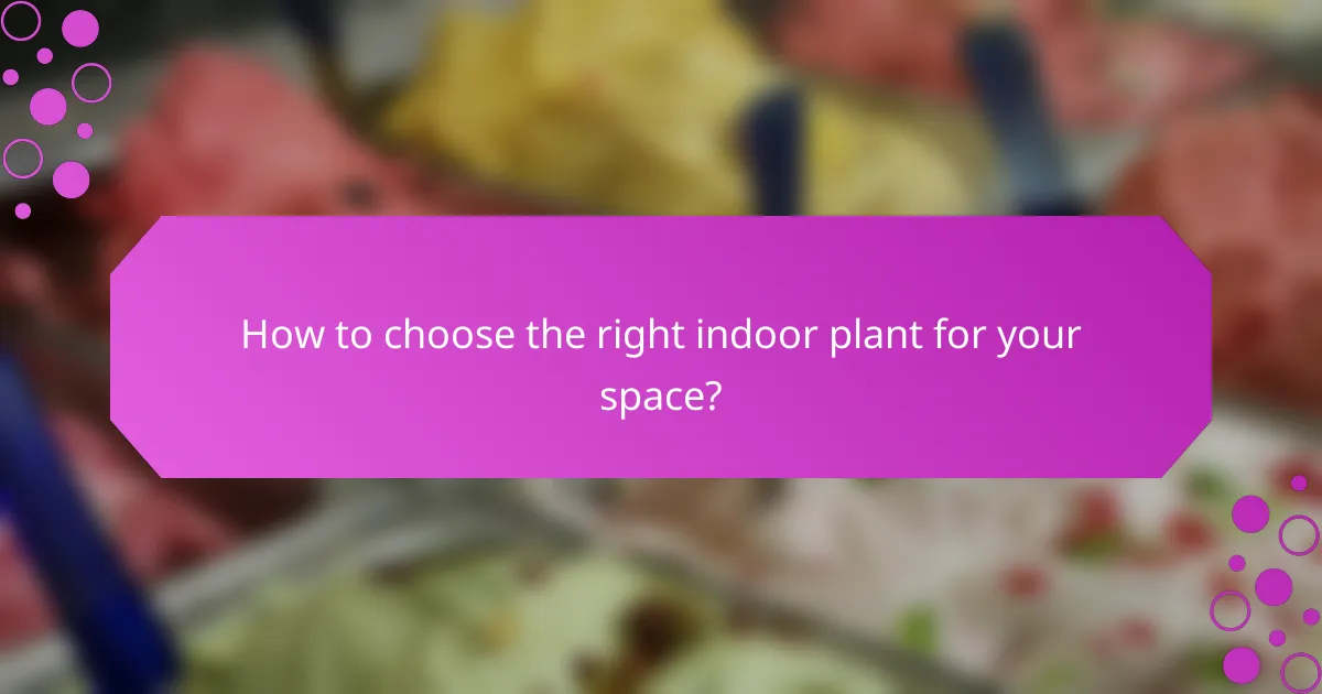How to choose the right indoor plant for your space?