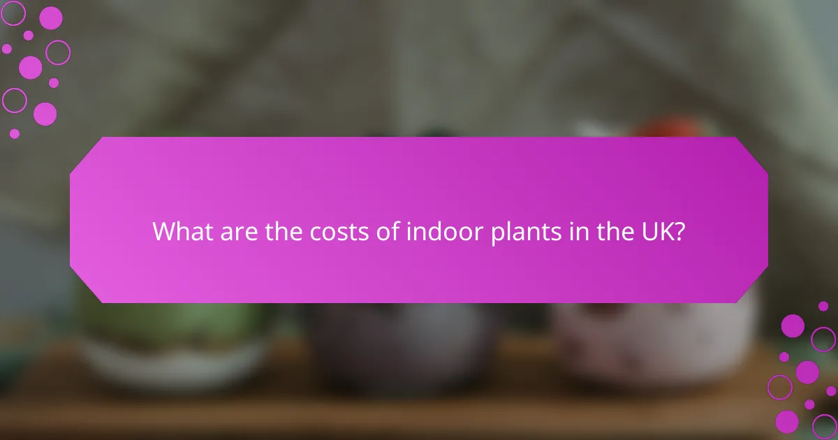 What are the costs of indoor plants in the UK?