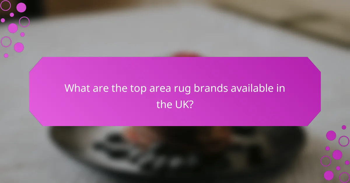 What are the top area rug brands available in the UK?