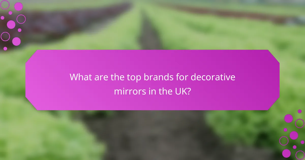 What are the top brands for decorative mirrors in the UK?