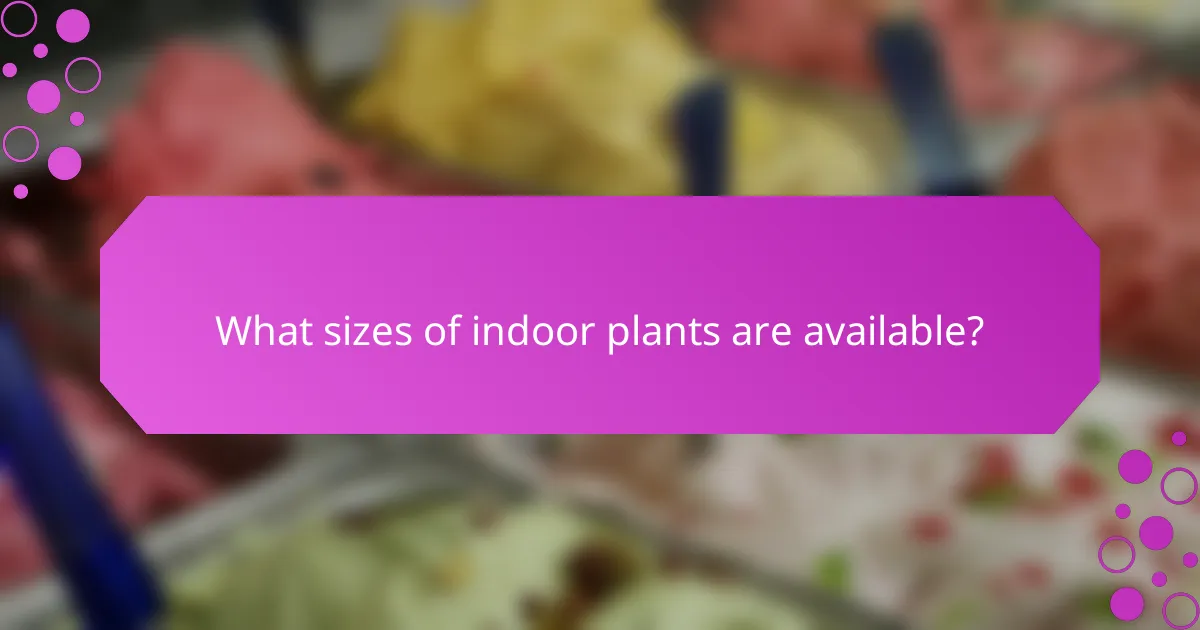 What sizes of indoor plants are available?