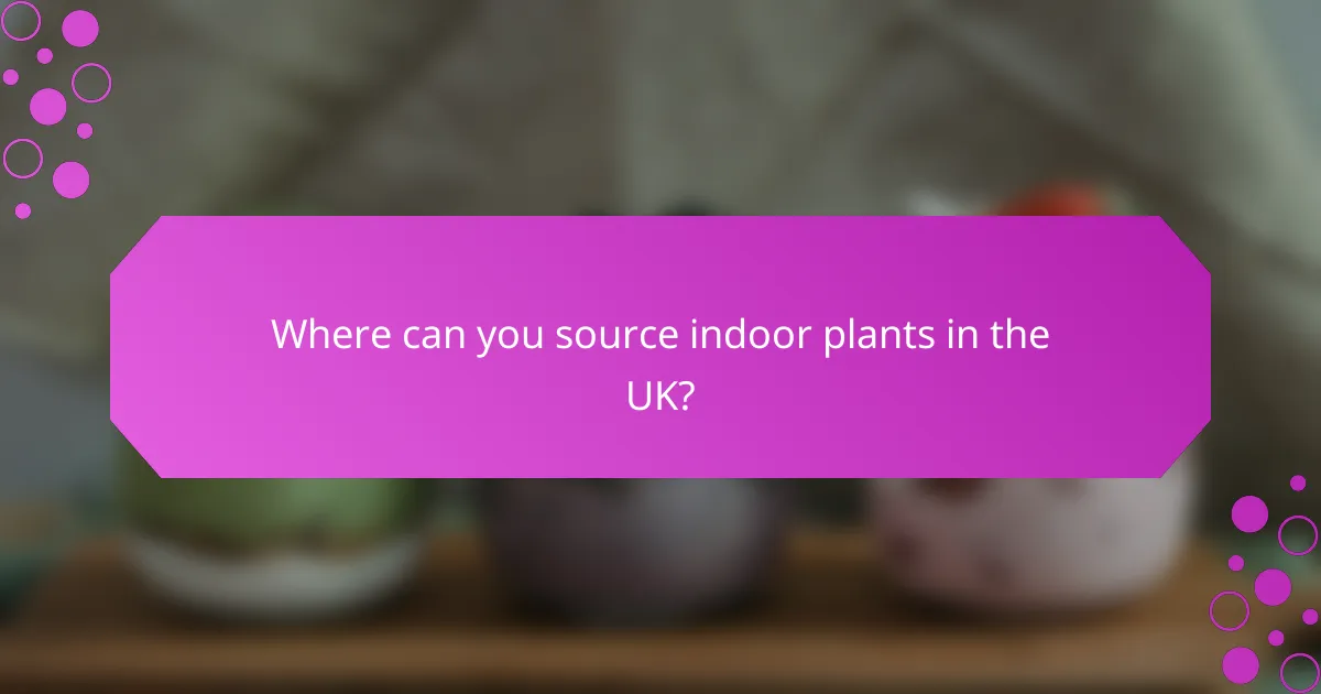 Where can you source indoor plants in the UK?